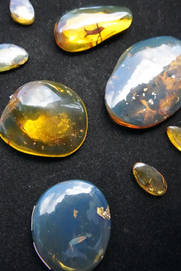 Blue Amber dominican