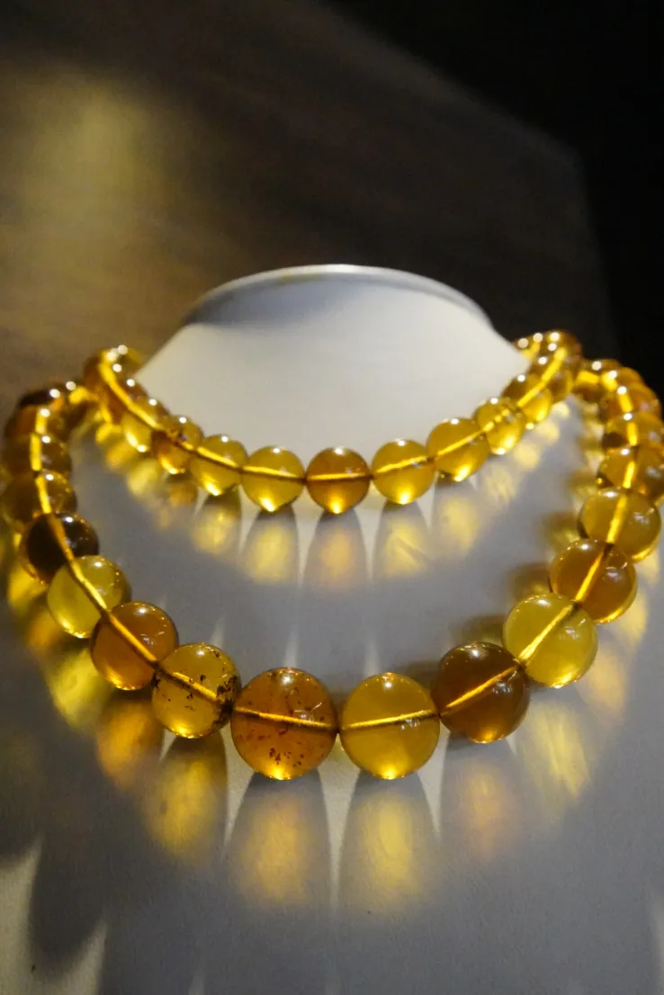 excellent amber dominican